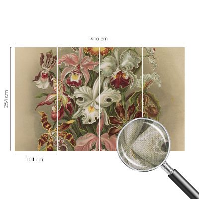 Removable wall mural Floral elegance