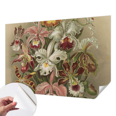 Removable wall mural with a floral elegance design