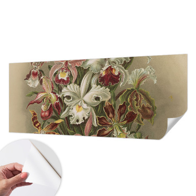Removable wall mural Floral elegance