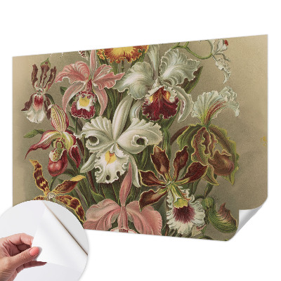 Removable wall mural with a floral elegance design