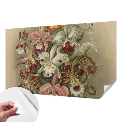 Removable wall mural with a floral elegance design