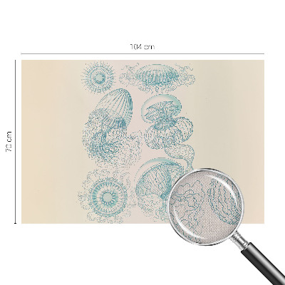 Removable wall mural wallpaper with a sea jellyfish design