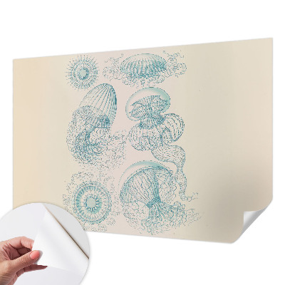 Removable wall mural wallpaper with a sea jellyfish design