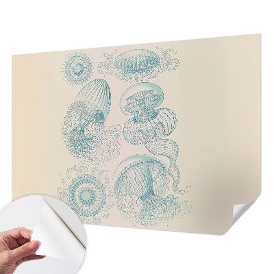 Removable wall mural wallpaper with a sea jellyfish design