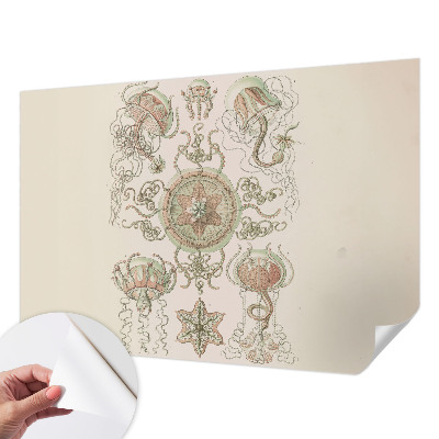 Peel and stick wall mural featuring an underwater world design for the living room