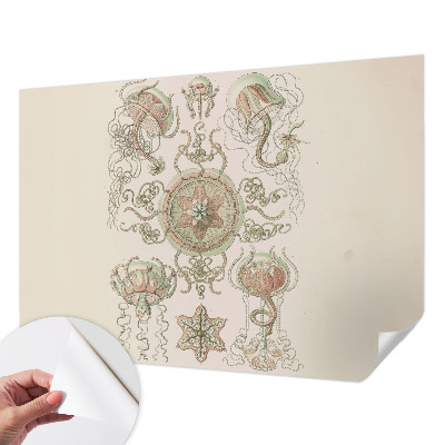 Peel and stick wall mural featuring an underwater world design for the living room