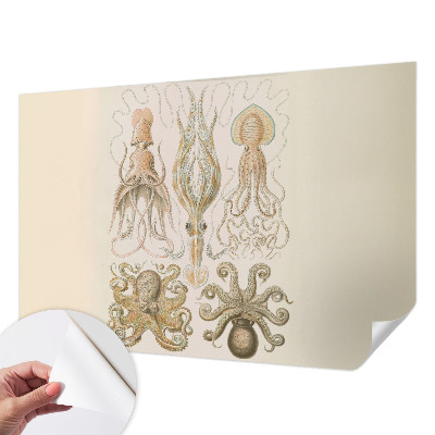 Peel and stick wall mural for bedroom featuring sea life