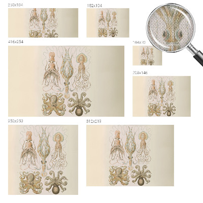 Peel and stick wall mural for bedroom Sea life