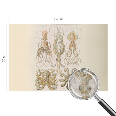 Peel and stick wall mural for bedroom featuring sea life