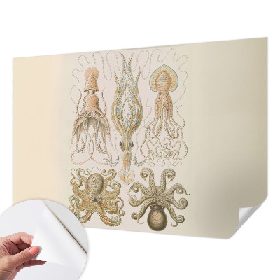 Peel and stick wall mural for bedroom featuring sea life