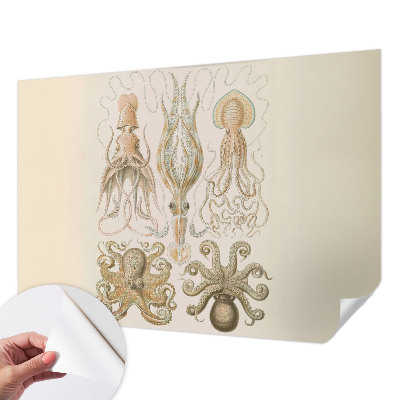 Peel and stick wall mural for bedroom featuring sea life