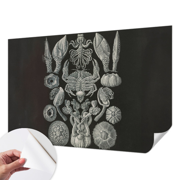 Peel and stick wall mural for kids' room with an underwater motif