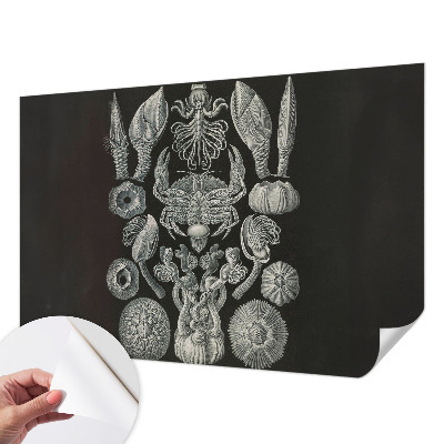 Peel and stick wall mural for kids' room with an underwater motif