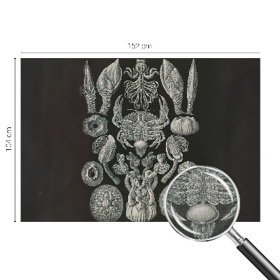 Peel and stick wall mural for kids' room with an underwater motif