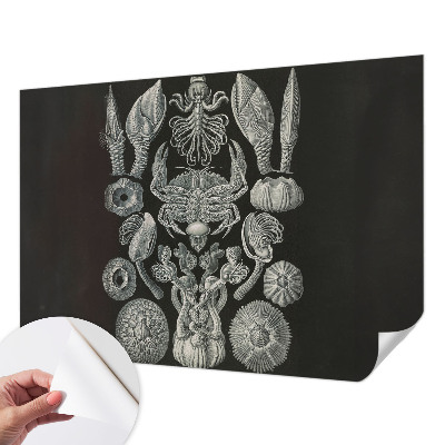 Peel and stick wall mural for kids' room Underwater forms