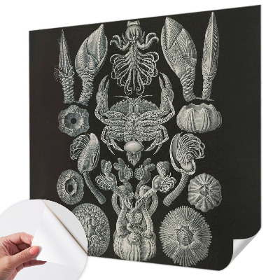 Peel and stick wall mural for kids' room Underwater forms