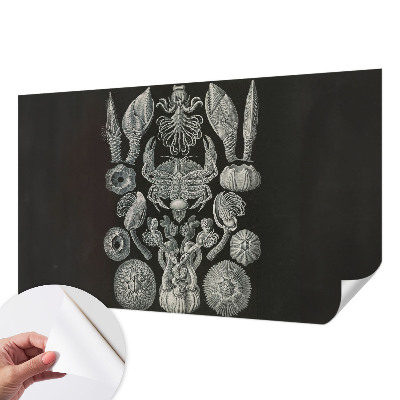 Peel and stick wall mural for kids' room Underwater forms
