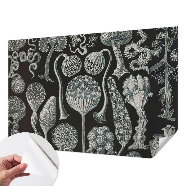 3D wall mural with a magical plants design