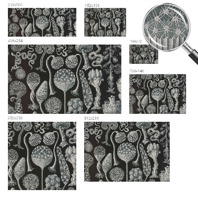 3D wall mural with a magical plants design