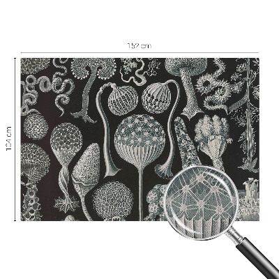 3D wall mural with a magical plants design