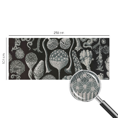 3D wall mural with a magical plants design
