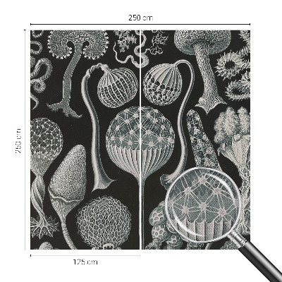 3D wall mural with a magical plants design