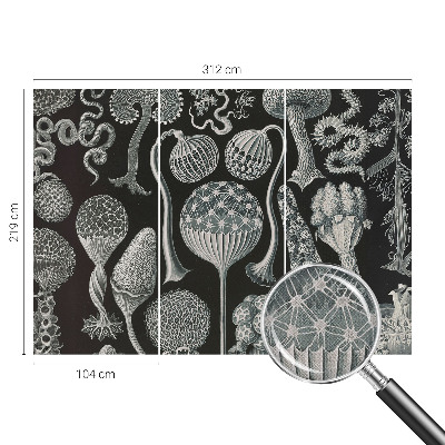 3D wall mural with a magical plants design