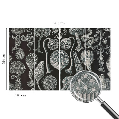 3D wall mural with a magical plants design