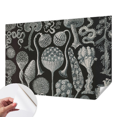 3D wall mural with a magical plants design