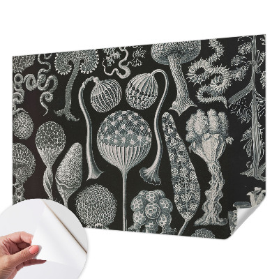 3D wall mural with a magical plants design