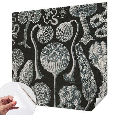 3D wall mural with a magical plants design
