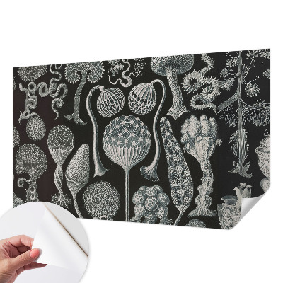 3D wall mural with a magical plants design