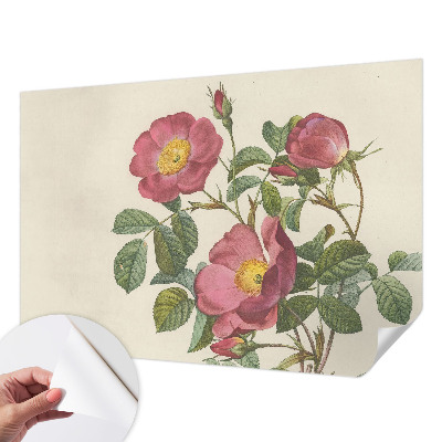 3D photo wallpaper mural Rose motif