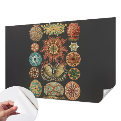 Peel and stick wall mural for living room with a sea-inspired design