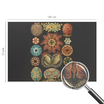 Peel and stick wall mural for living room Sea inspirations