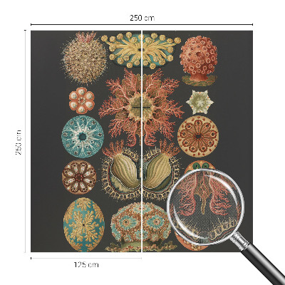 Peel and stick wall mural for living room Sea inspirations