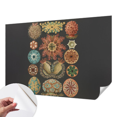 Peel and stick wall mural for living room with a sea-inspired design