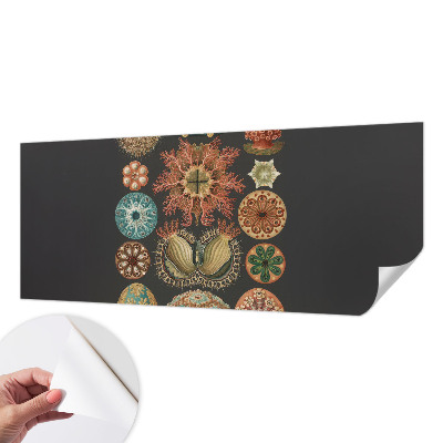 Peel and stick wall mural for living room with a sea-inspired design