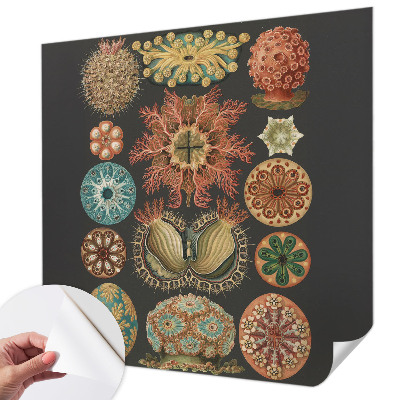 Peel and stick wall mural for living room with a sea-inspired design