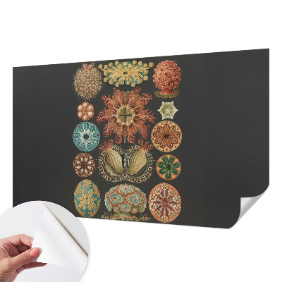 Peel and stick wall mural for living room with a sea-inspired design