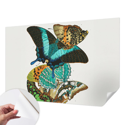 Baby room wall mural with colorful butterflies
