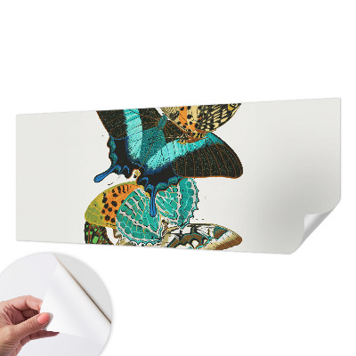 Baby room wall mural Colorful butterflies