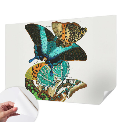 Baby room wall mural with colorful butterflies