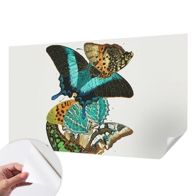 Baby room wall mural Colorful butterflies