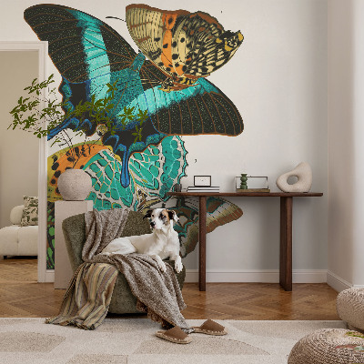 Baby room wall mural Colorful butterflies