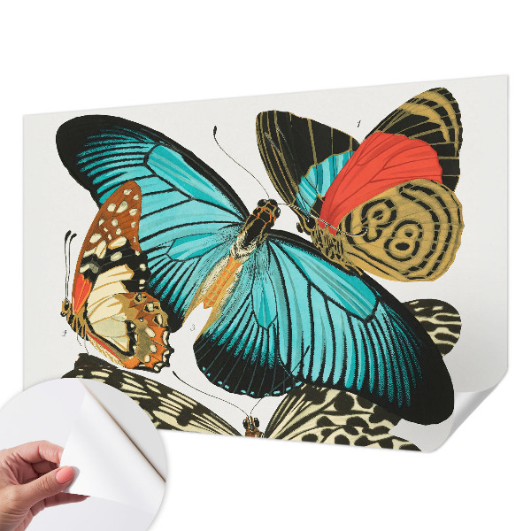 Peel and stick wall mural Colorful butterflies