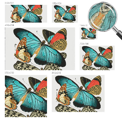 Peel and stick wall mural Colorful butterflies