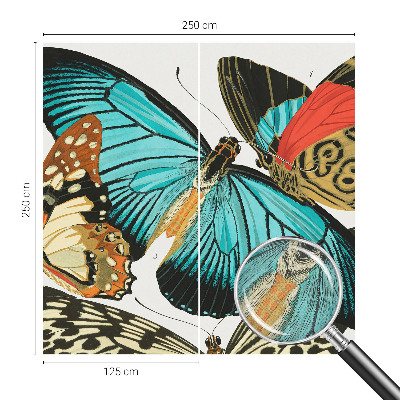 Peel and stick wall mural with a colorful butterfly design