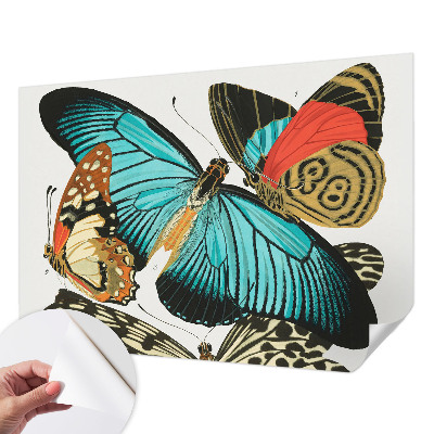Peel and stick wall mural Colorful butterflies