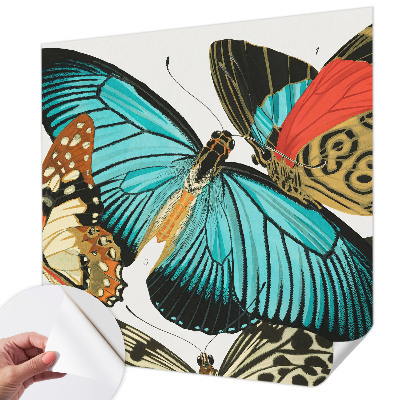Peel and stick wall mural Colorful butterflies